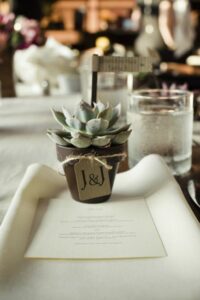 Wedding Favor Succulents 1