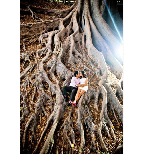7 Dazzling Engagement Photo Shoot Locations In Southern California Engagement Photo Shoot - Couple In Tree Roots At Balboa Park