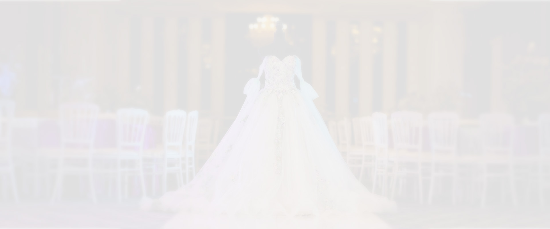 Quinceañera Quinceañera